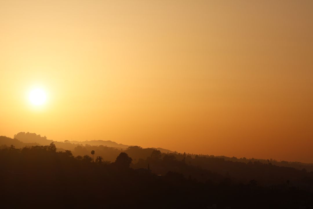 nature Photo