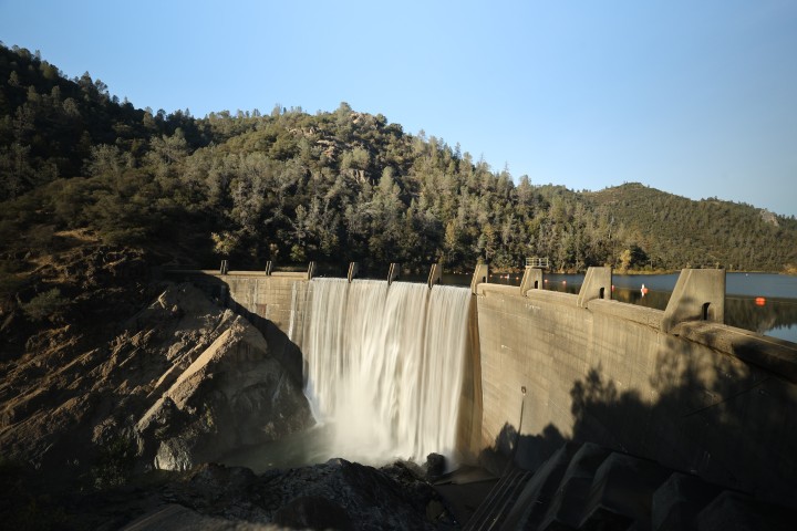 nature Photo