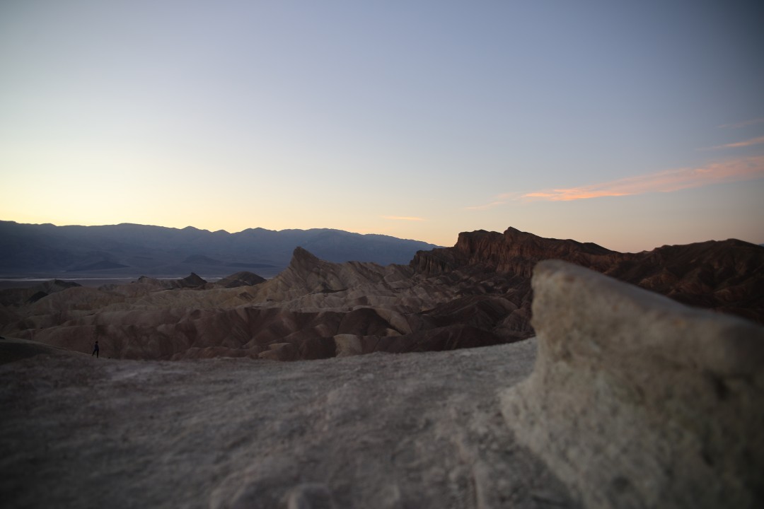 nature Photo