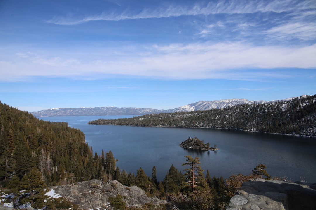 nature Photo